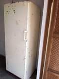 A picture of A refrigerator