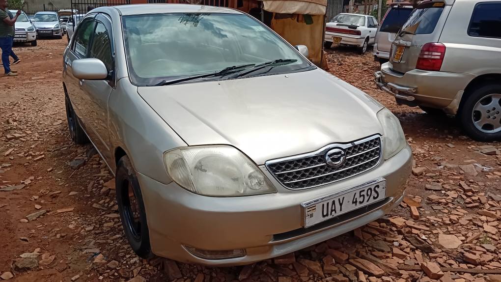 used toyota corolla