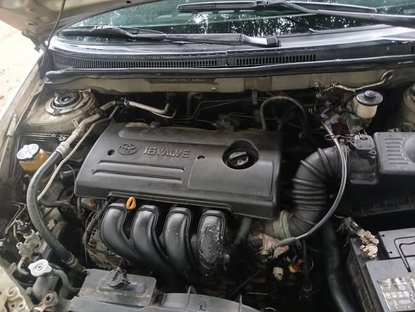 A picture of Toyota Corolla