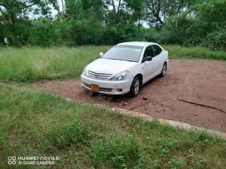 used toyota allion