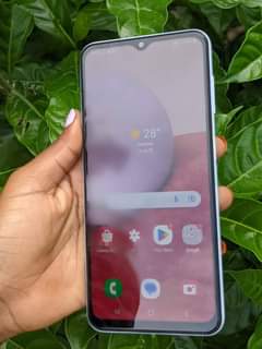 A picture of Samaung Galaxy A13