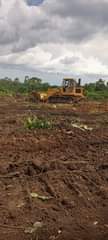 A picture of JANGU NGA BWORI plots for sale with land title at