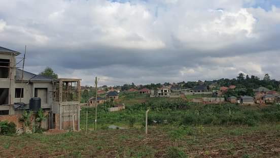 A picture of Plots buwambo