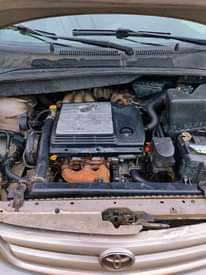 A picture of Sharp Sienna available for sale First body Price 2 6m