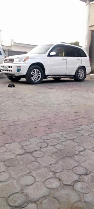 A picture of RAV4