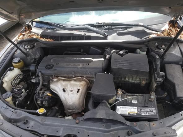 A picture of TOYOTA CAMRY AKA MUSCLE 4plug