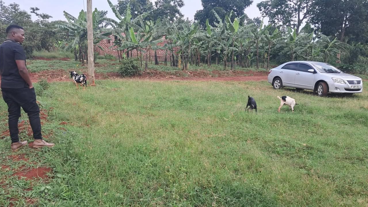A picture of PLOTS