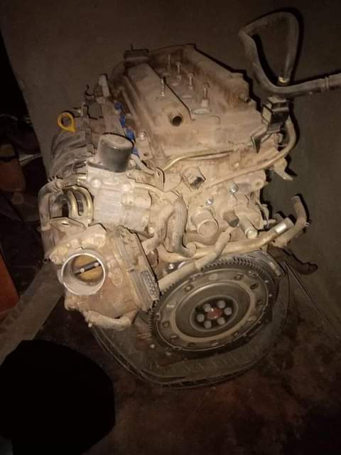 coils