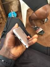 A picture of IPhone 6 