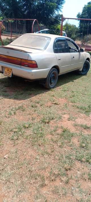 Cars O.