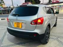 A picture of NISSAN DUALIS