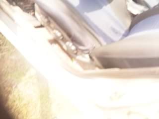 A picture of Car