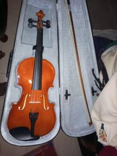 A picture of Violin