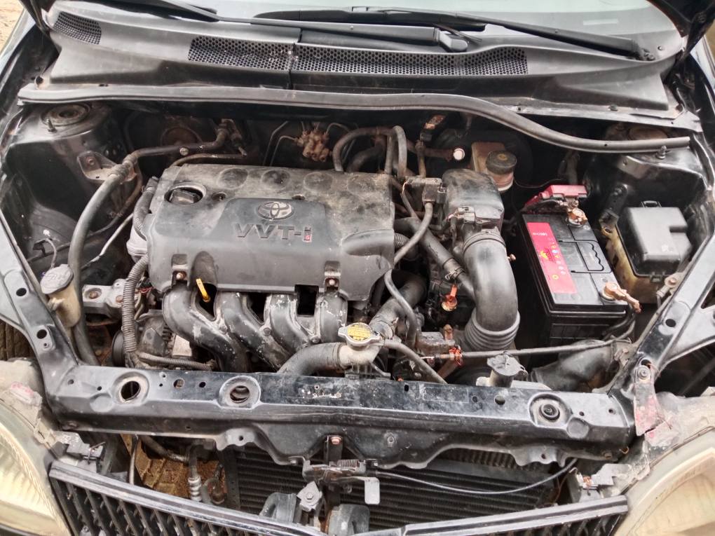 A picture of Toyota echo