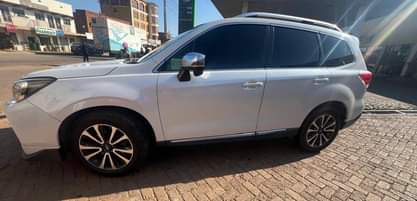 A picture of Forester Subaru 2016 53M