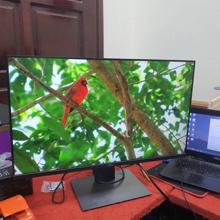pc monitors