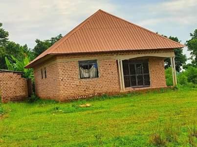 A picture of 48m PEOPLE WHO HAVE BIG FAMILY USE THIS OPPORTUNITY TO