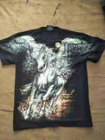A picture of Second hand T shirt s