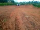 A picture of Matugga Migadde commercial plot