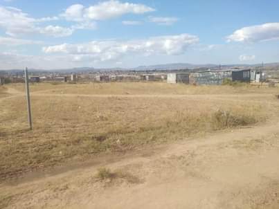 LIMPOPO V.
