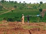A picture of 50 by 50 ft plot on quick sale at kiweebwa