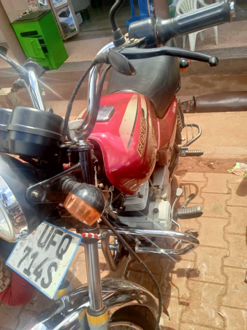 A picture of 2024 Bajaj boxer 2024