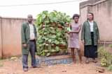 A picture of vertical farms