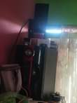 A picture of 0688752562 0686826249