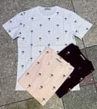 A picture of T SHIRTS