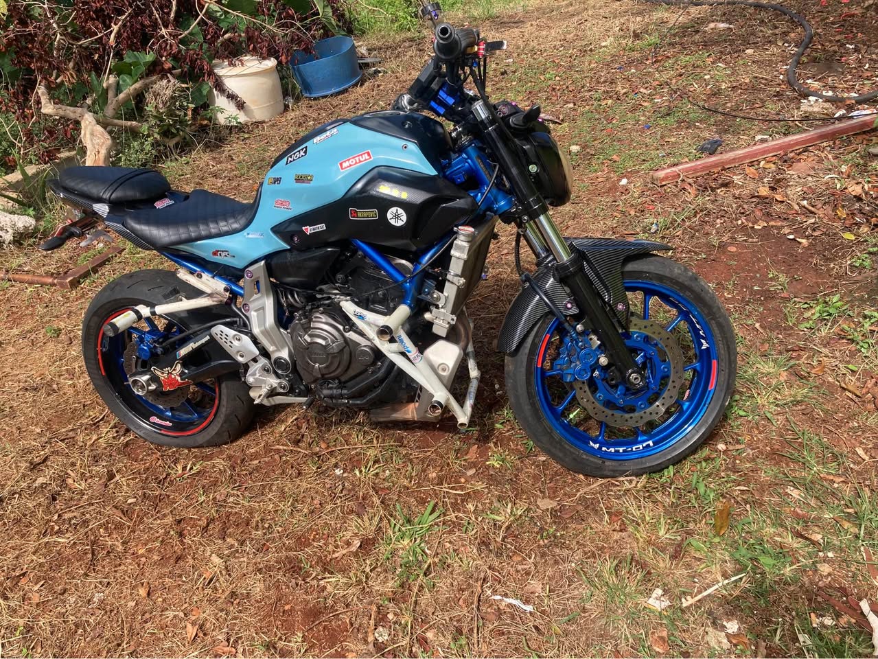 bikes