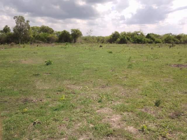 A picture of SHAMBA HEKA 6 LINAUZWA KILA HEKA MOJA TSH 650 000