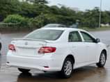 A picture of Toks