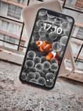 A picture of IPHONE X