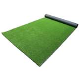 grass