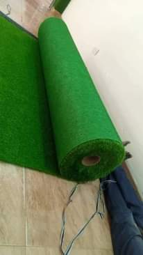 A picture of Carpets