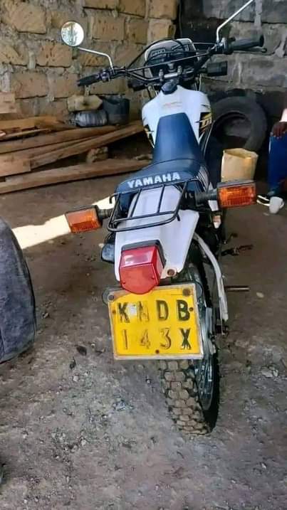 A picture of motor bikes