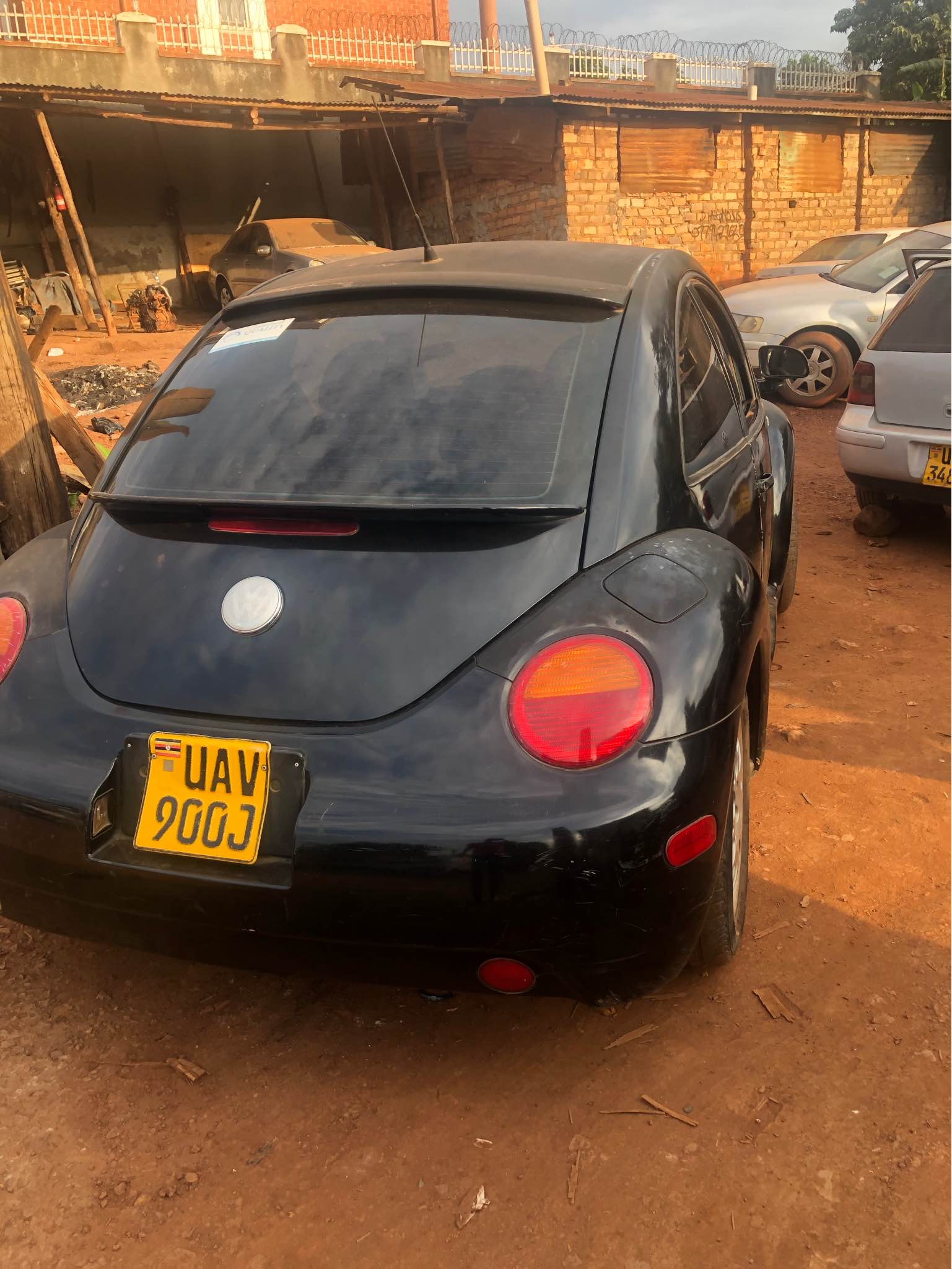 A picture of Beetle
