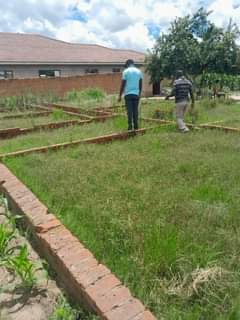 stands