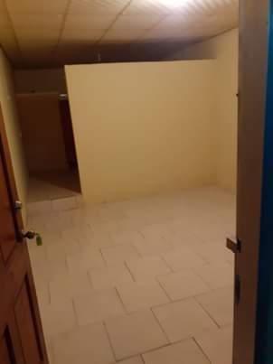 Rental P.