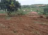 A picture of CHRISTMAS OFFER BRAND NEW ESTATE AT WAKISO NKOWE 1KM OFF