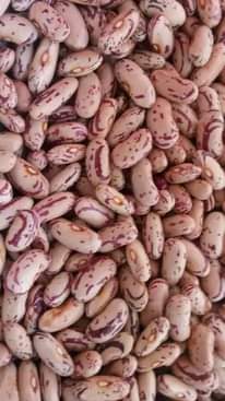 A picture of Rice And Food Commodities