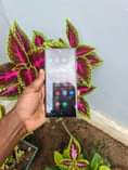 A picture of samsung S22 ultra 5G