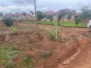 A picture of 50 100 tittled plots on sale