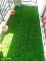 grass