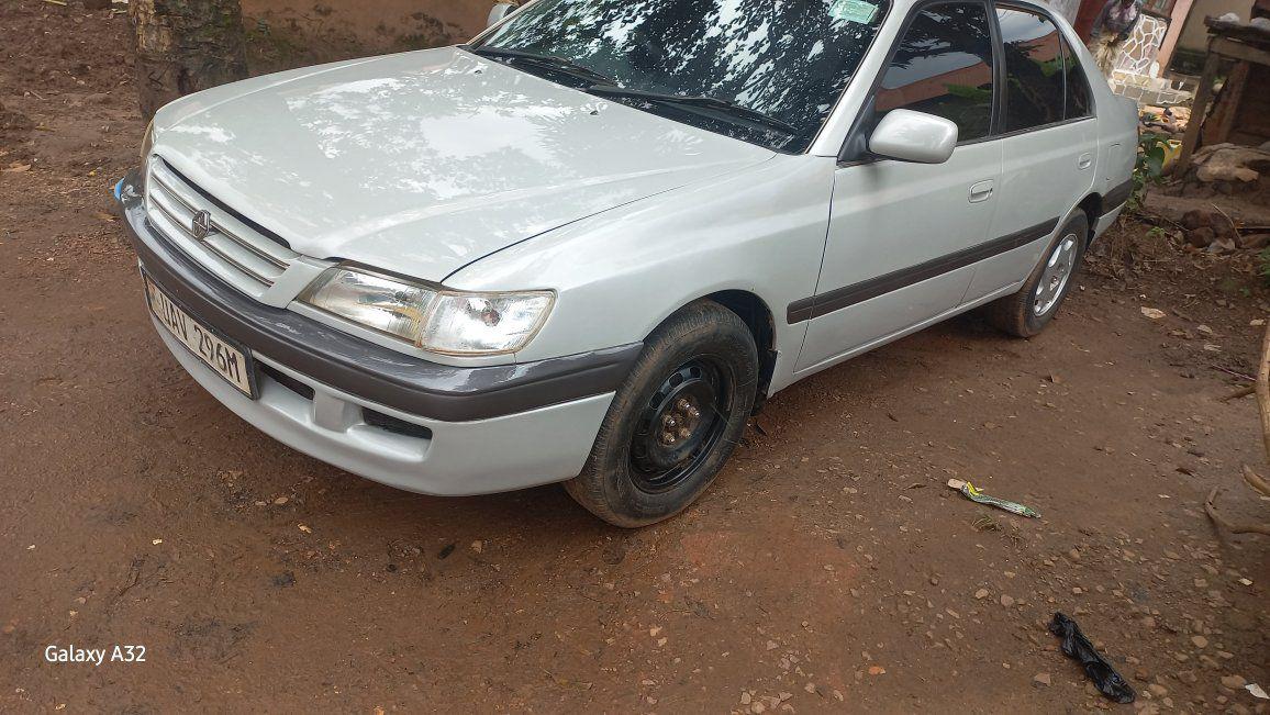 A picture of Premeo