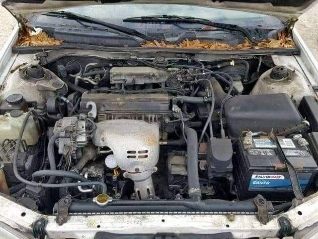 A picture of Pencil light Camry 2004