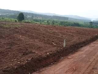 A picture of 7.5m MATUGGA KANYANDA 2km 50plots NEW ESTATES with ready land