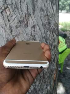 A picture of Iphone 6plain