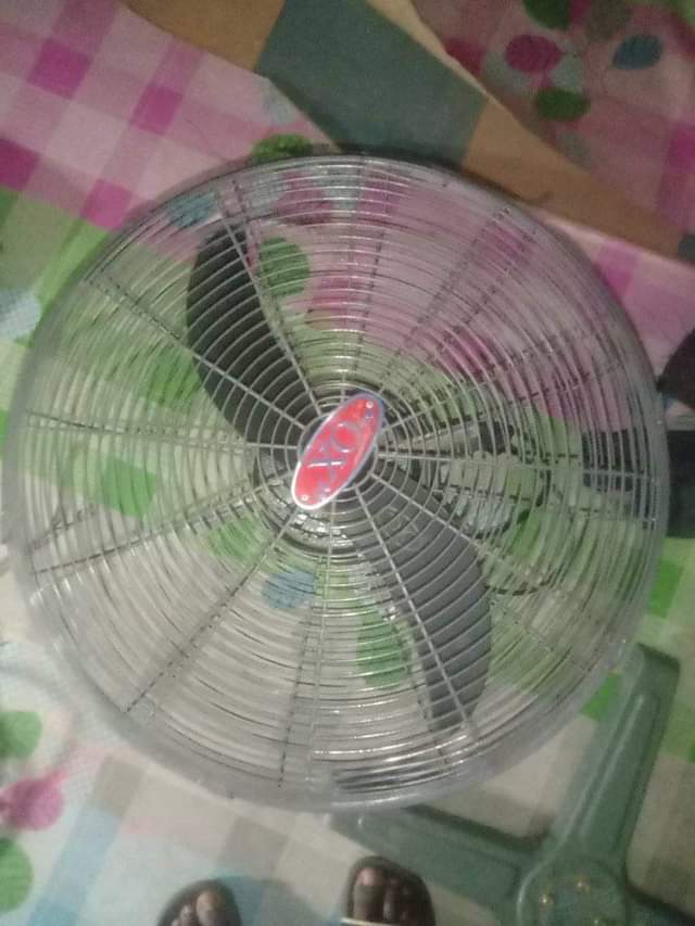fans