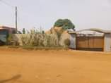 A picture of NEWLY BUILT HOUSE ON SALE AT MPALA ON ENTEBBE ROAD
